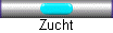 Zucht