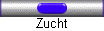 Zucht
